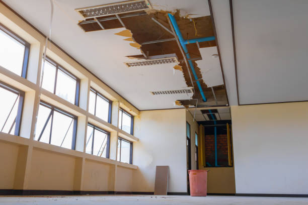 Best Water damage restoration cost  in Bargersville, IN