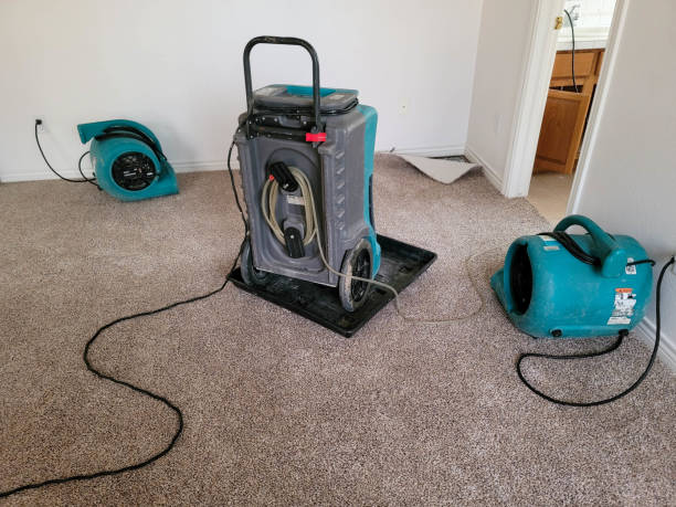 Best 24/7 water damage repair  in Bargersville, IN