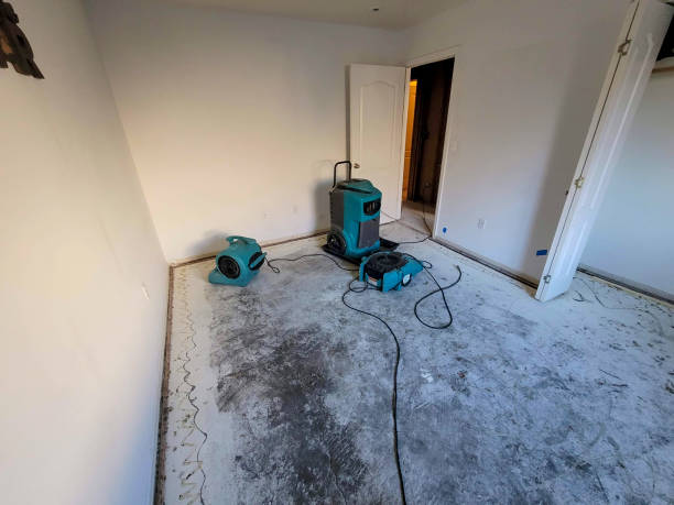 Carpet water damage restoration in Bargersville, IN