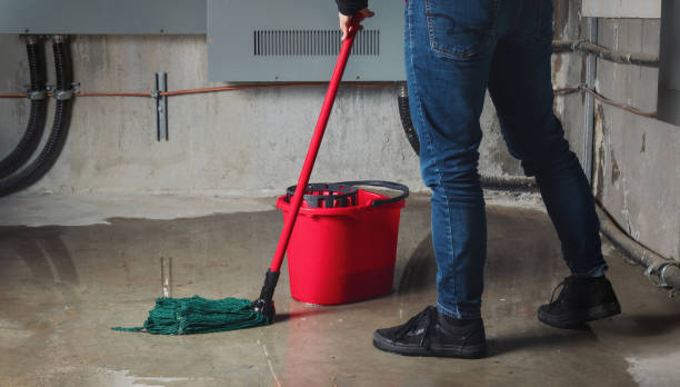 Best Flood damage cleanup  in Bargersville, IN