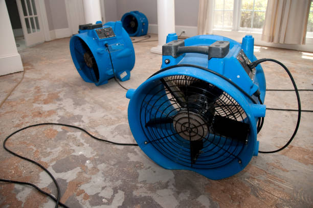 Best Sewage cleanup and water damage restoration  in Bargersville, IN