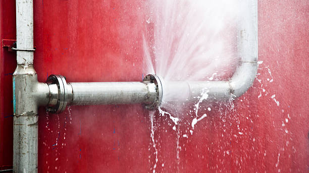 Best Mold removal after water damage  in Bargersville, IN